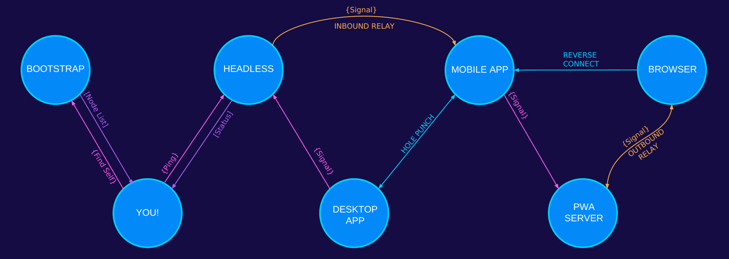 A topology graph for Veilid networks